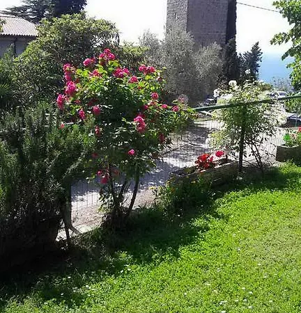 Apartmaji, Sobe - Obzidje 3* Piran
