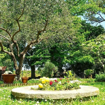 بيت ضيافة Apartmaji, Sobe - Obzidje