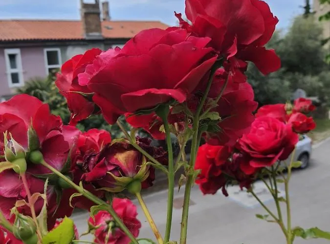 Apartmaji, Sobe - Obzidje Piran